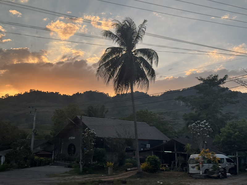 Sun setting behind mountains and palm tree in Khao Sok, Thailand