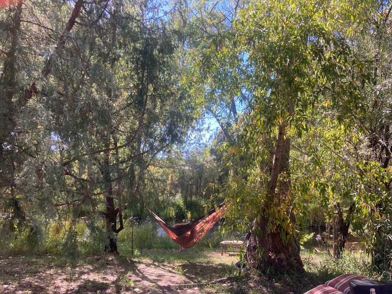 A hammock by the river