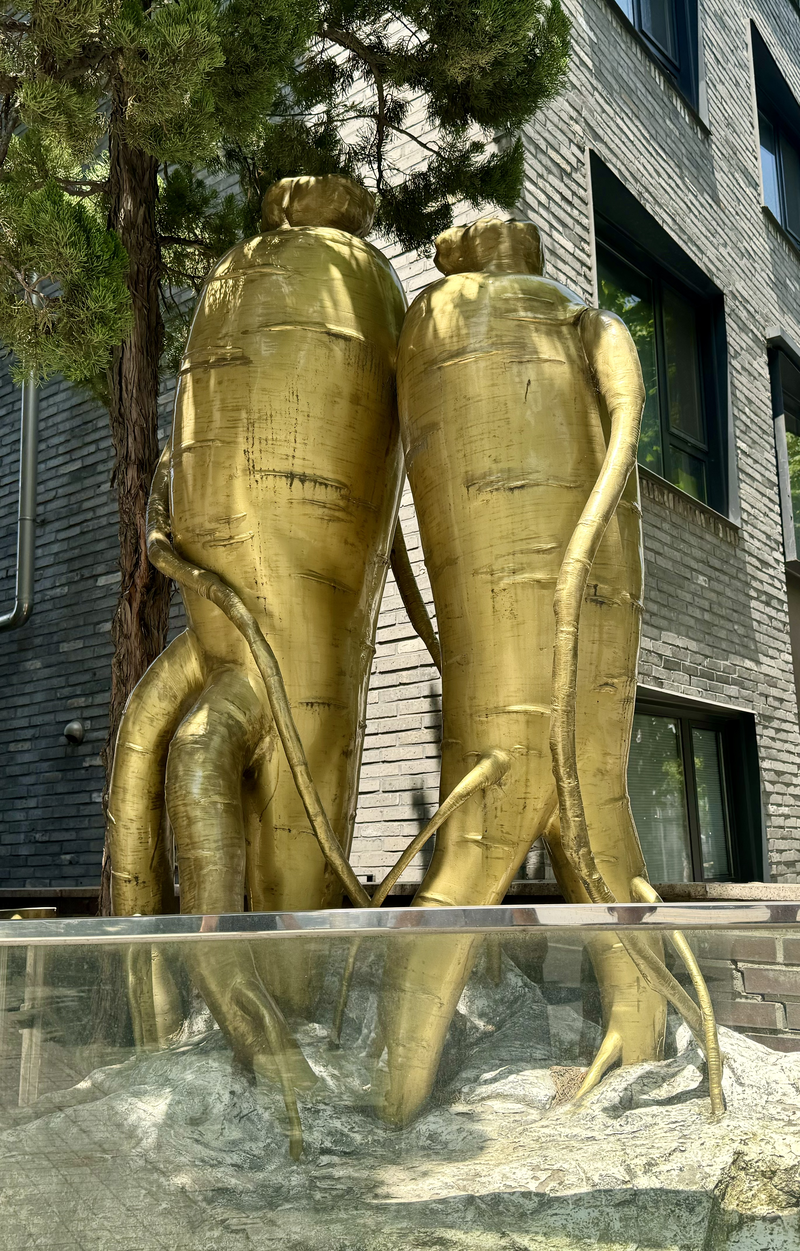 Statue of two friendly ginseng roots