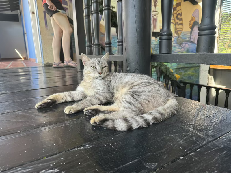 El Tigre, the only employee I worked with in Santa Marta way back when